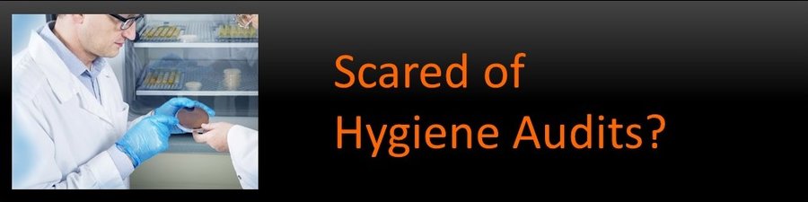 Scared of Hygiene Audits?